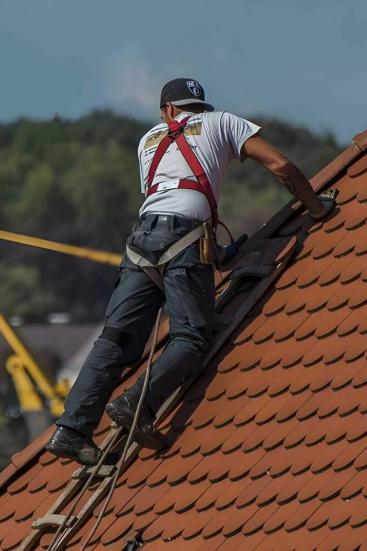 Entretien de toitures sur corde Val-de-Marne