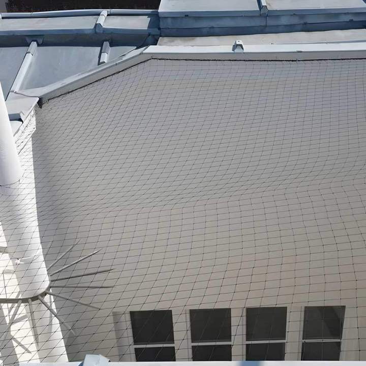 Protection efficace contre les pigeons